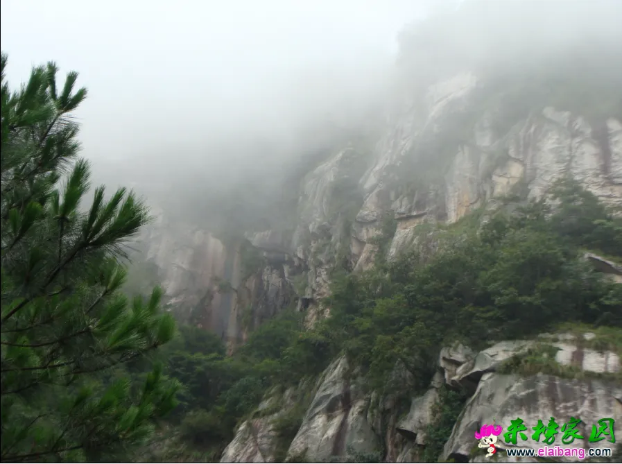 QQ截图20140813145246.webp