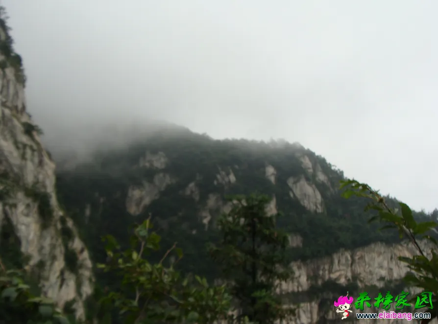 QQ截图20140813145301.webp