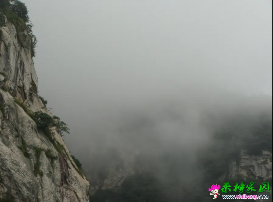 QQ截图20140813145320.webp