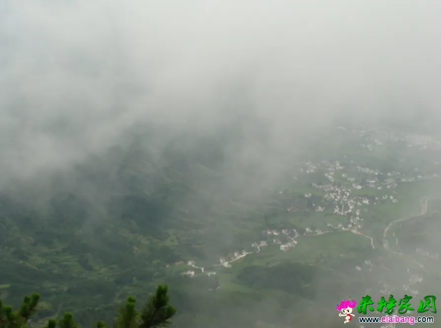 QQ截图20140813145517.webp
