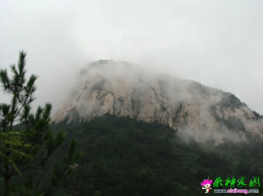 QQ截图20140813145532.webp