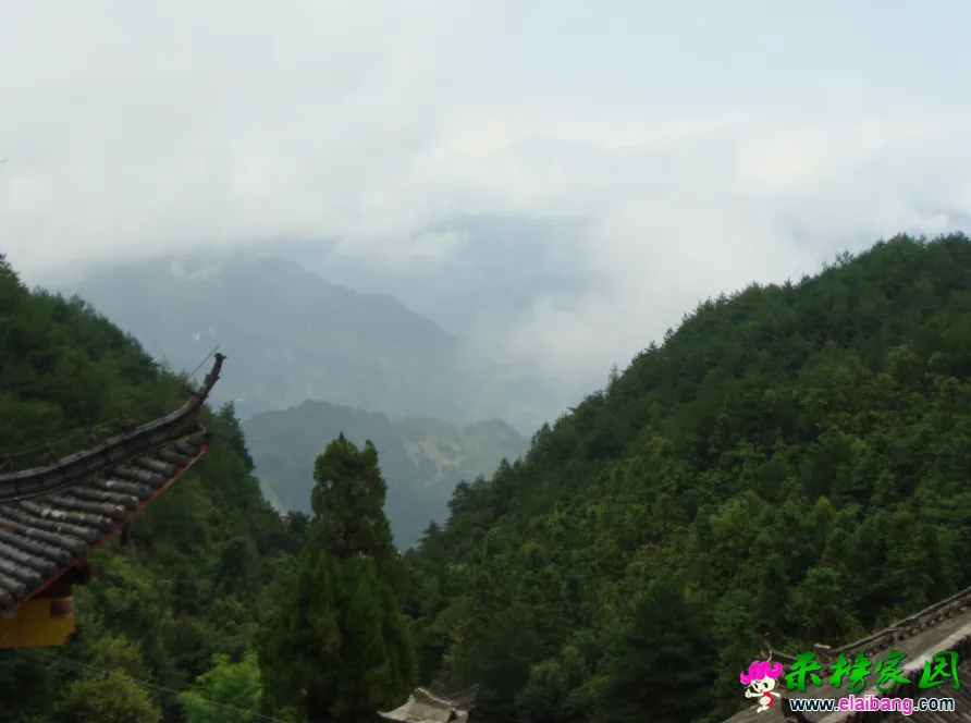 QQ截图20140813145618.webp