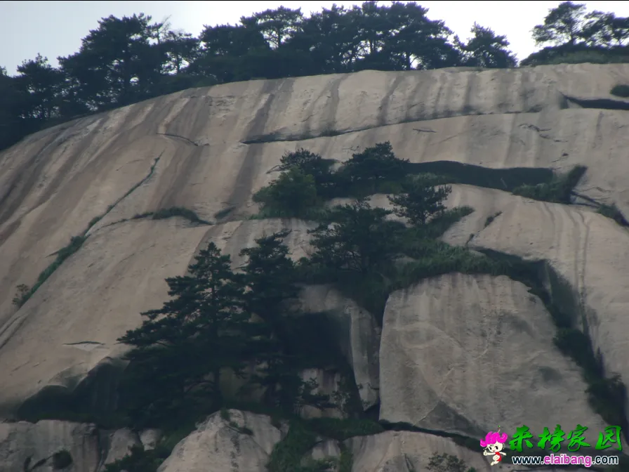 QQ截图20140813145643.webp