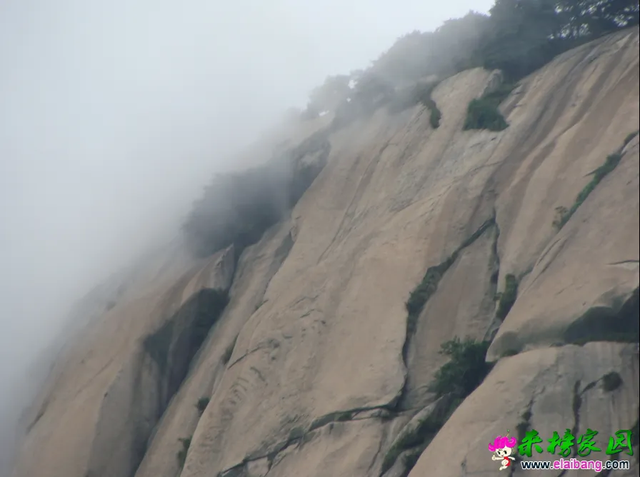 QQ截图20140813145657.webp