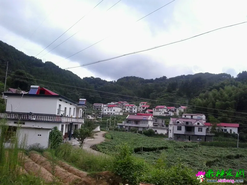 123603hrzdao1x0xi7kgkw.webp