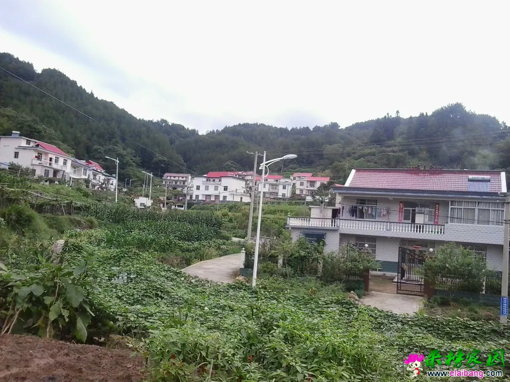 123607iwajbxwysy7bmr7b.webp
