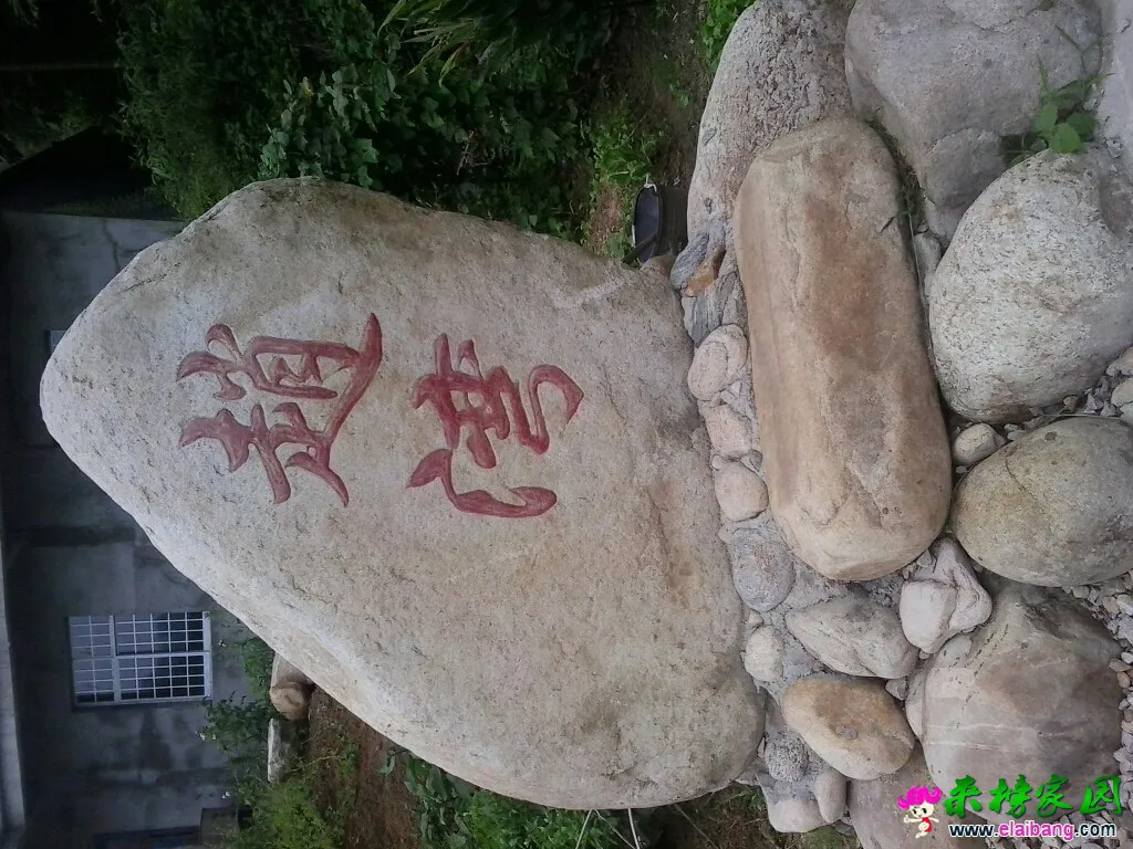 123715v8j5agk494alkkee.webp