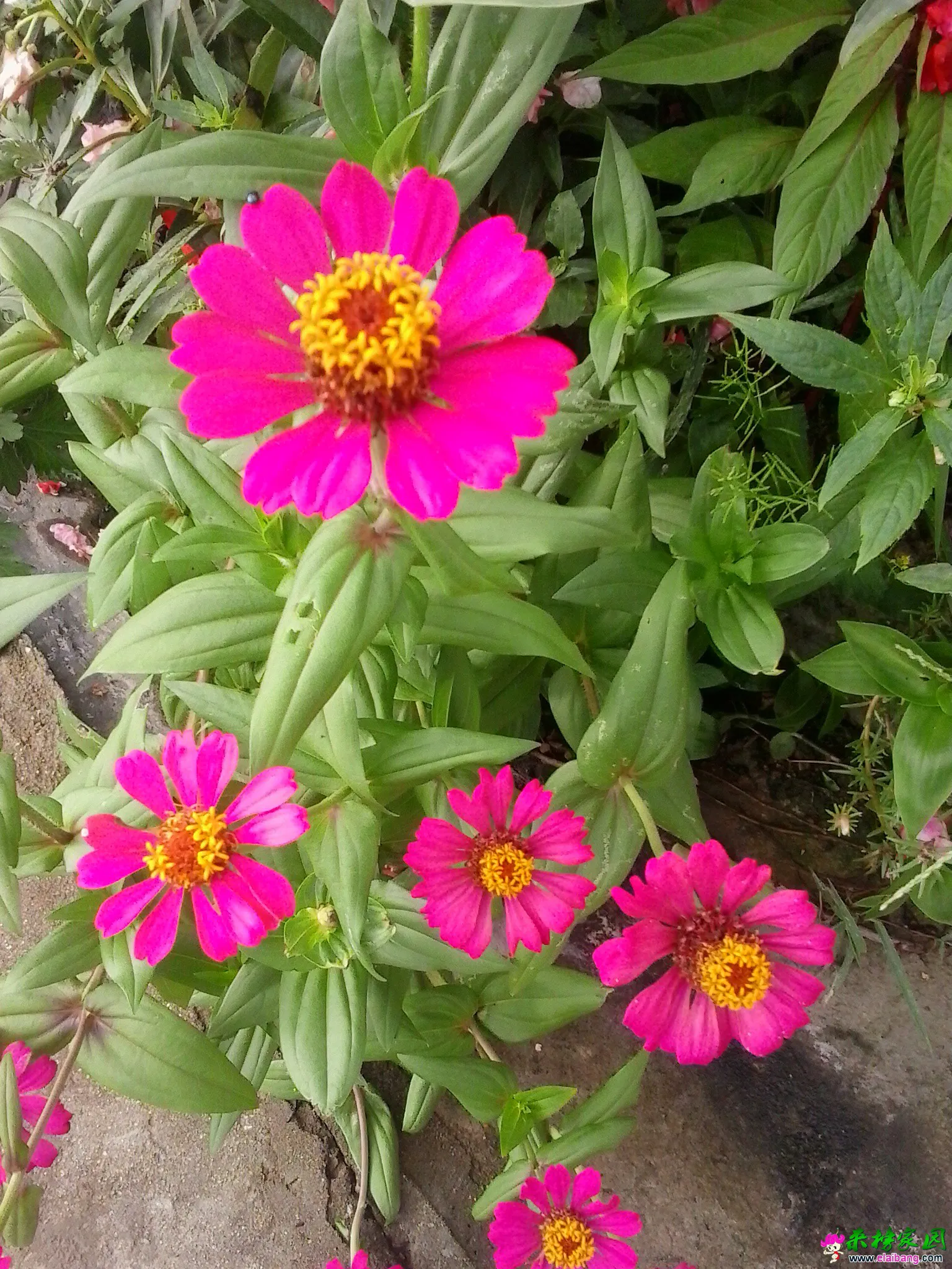 20140813_170414.webp