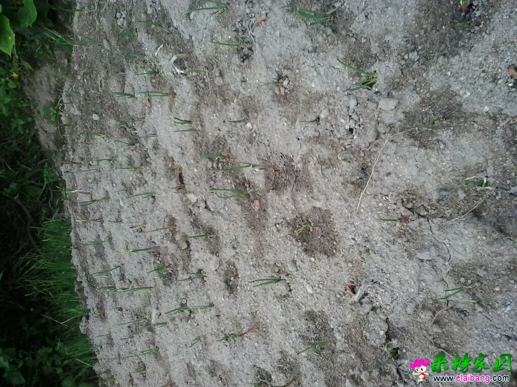 180542am31umikypvvusis.webp