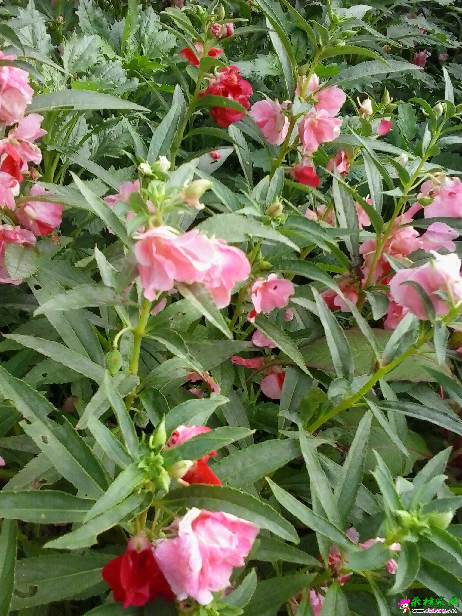20140813_170847.webp