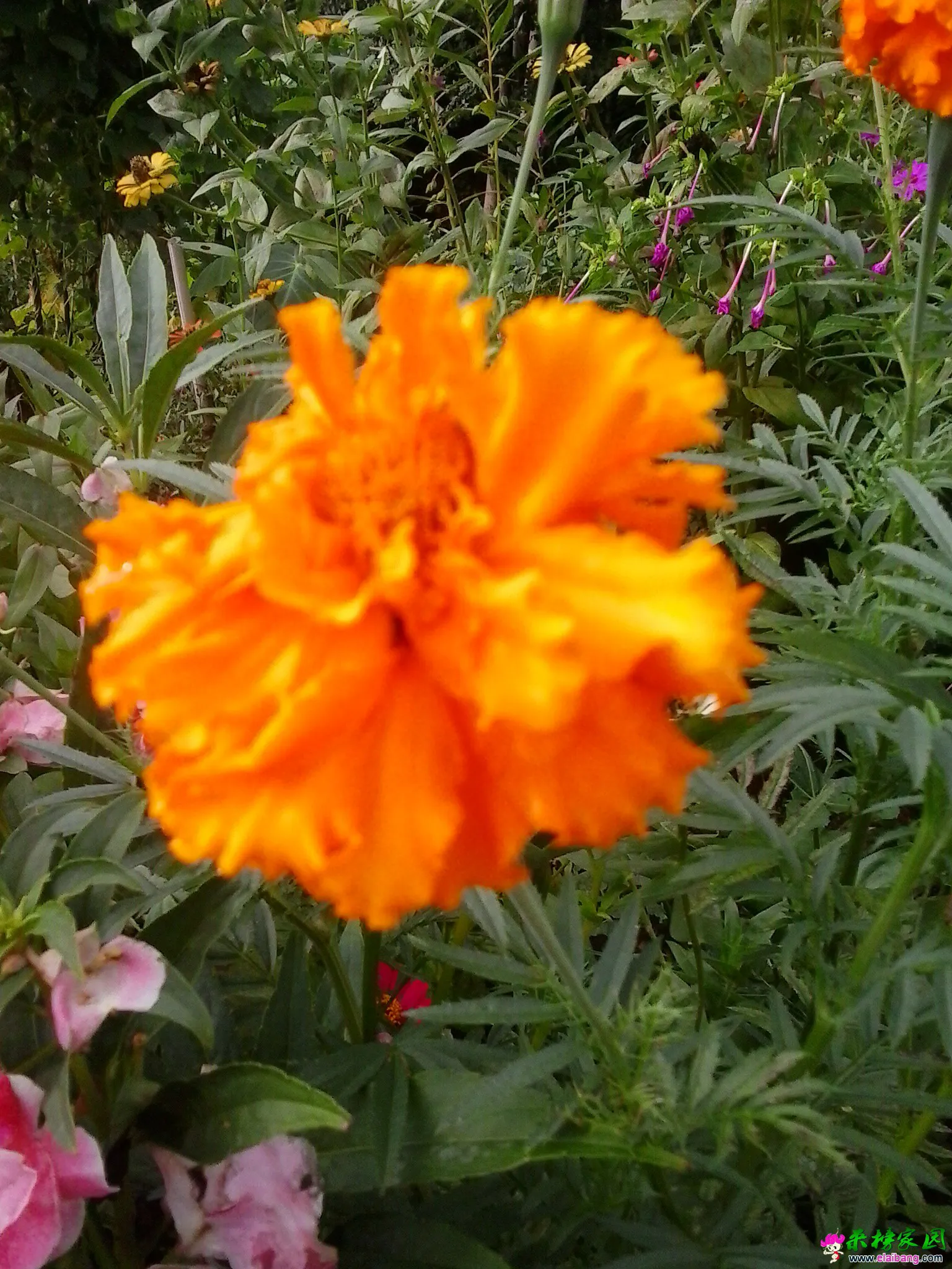 20140813_170430.webp