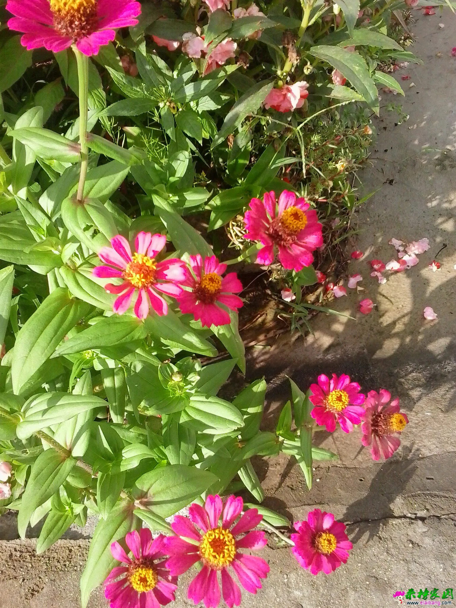 20140813_170454.webp