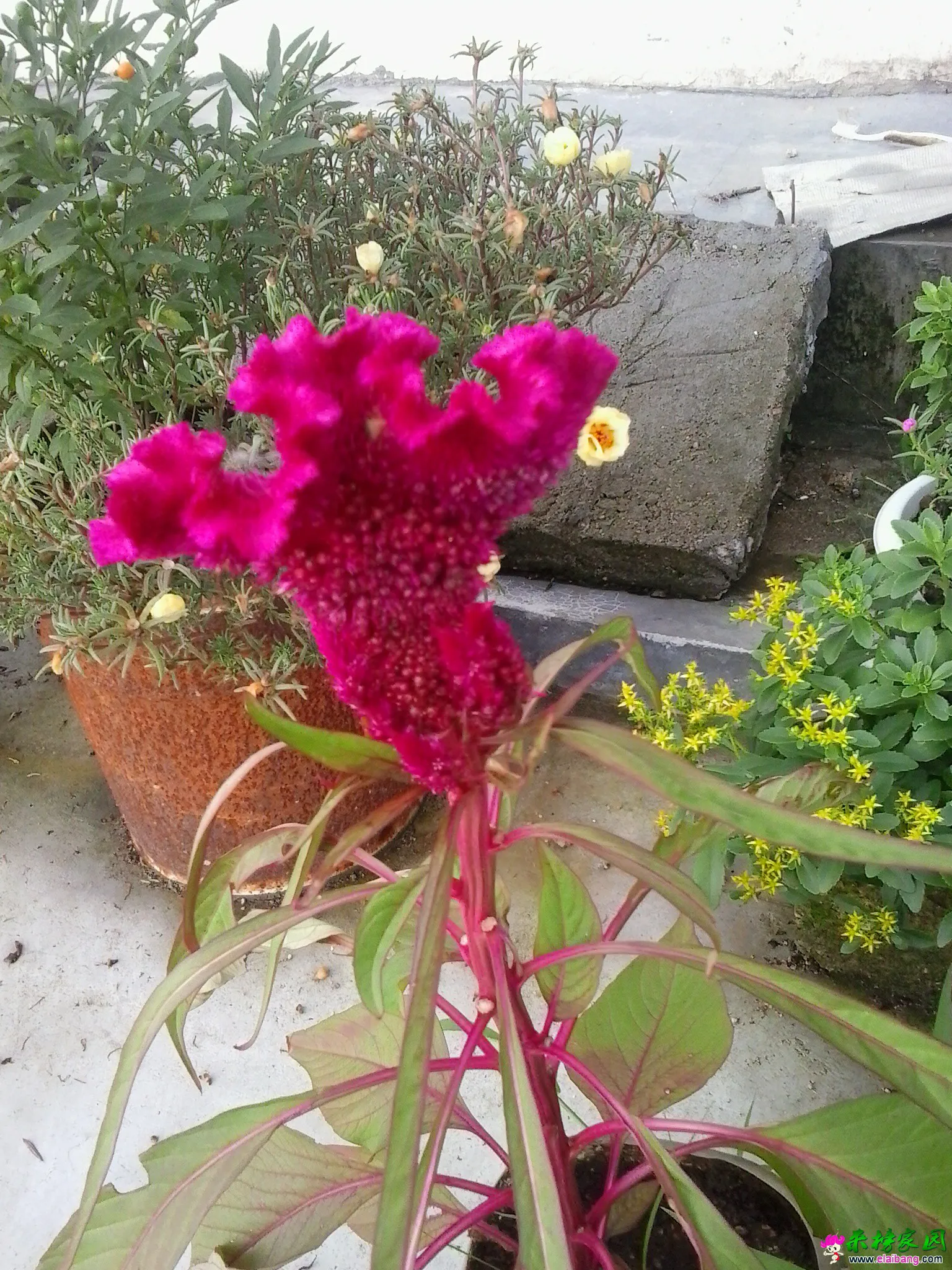 20140813_170825.webp
