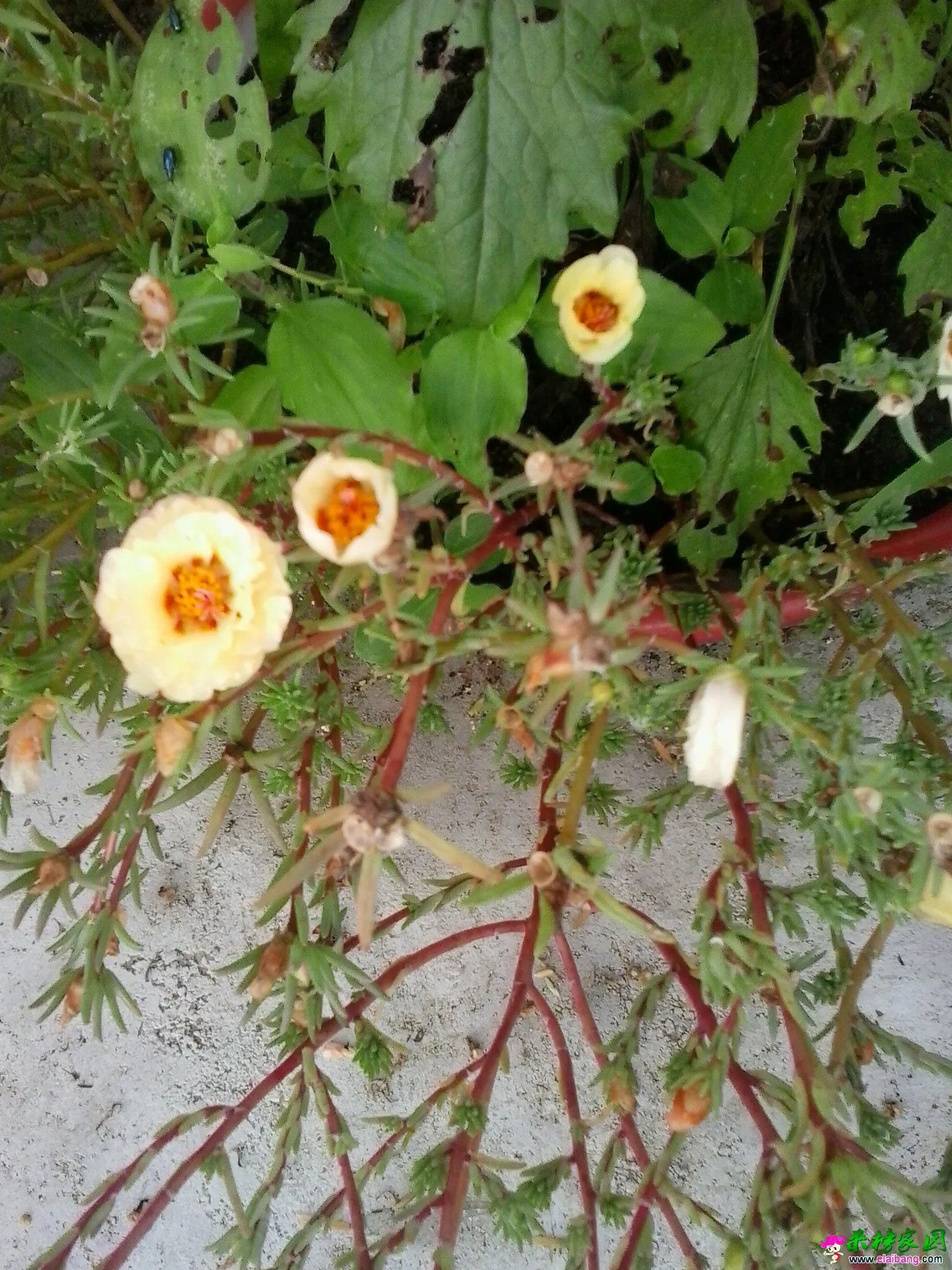 20140813_170830.webp