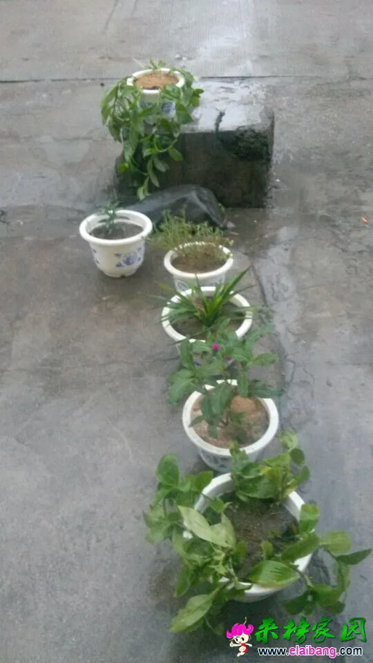 QQ图片20140816183803444.webp