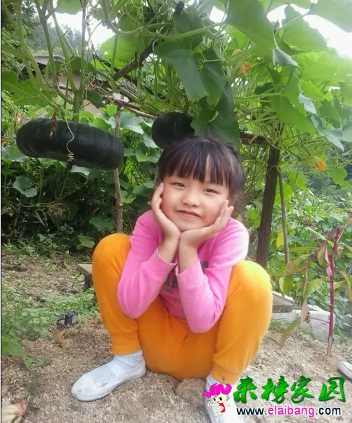 QQ截图20140817164700.webp