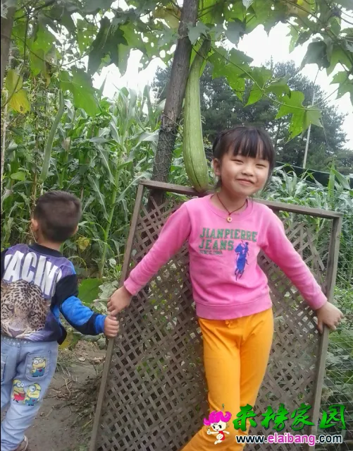 QQ截图20140817164622.webp