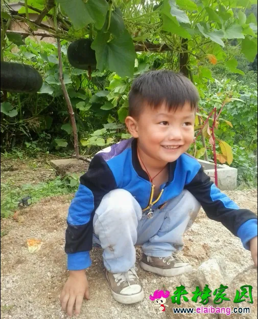 QQ截图20140817164639.webp