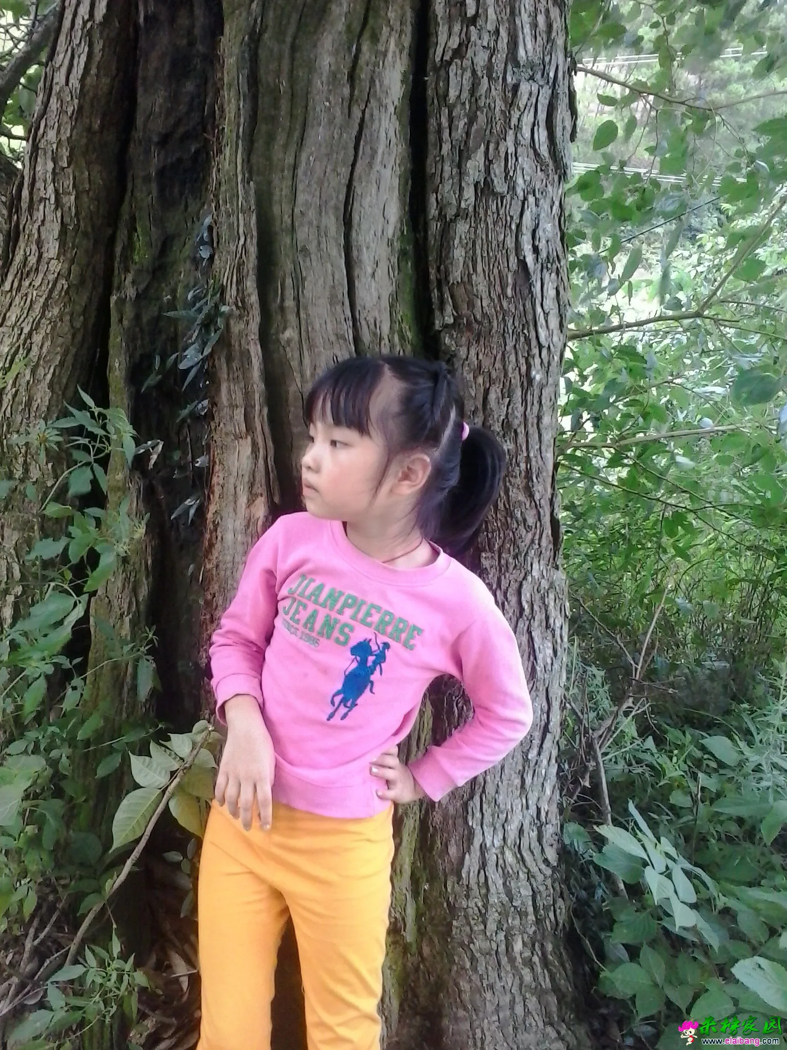 QQ图片20140817163700.webp