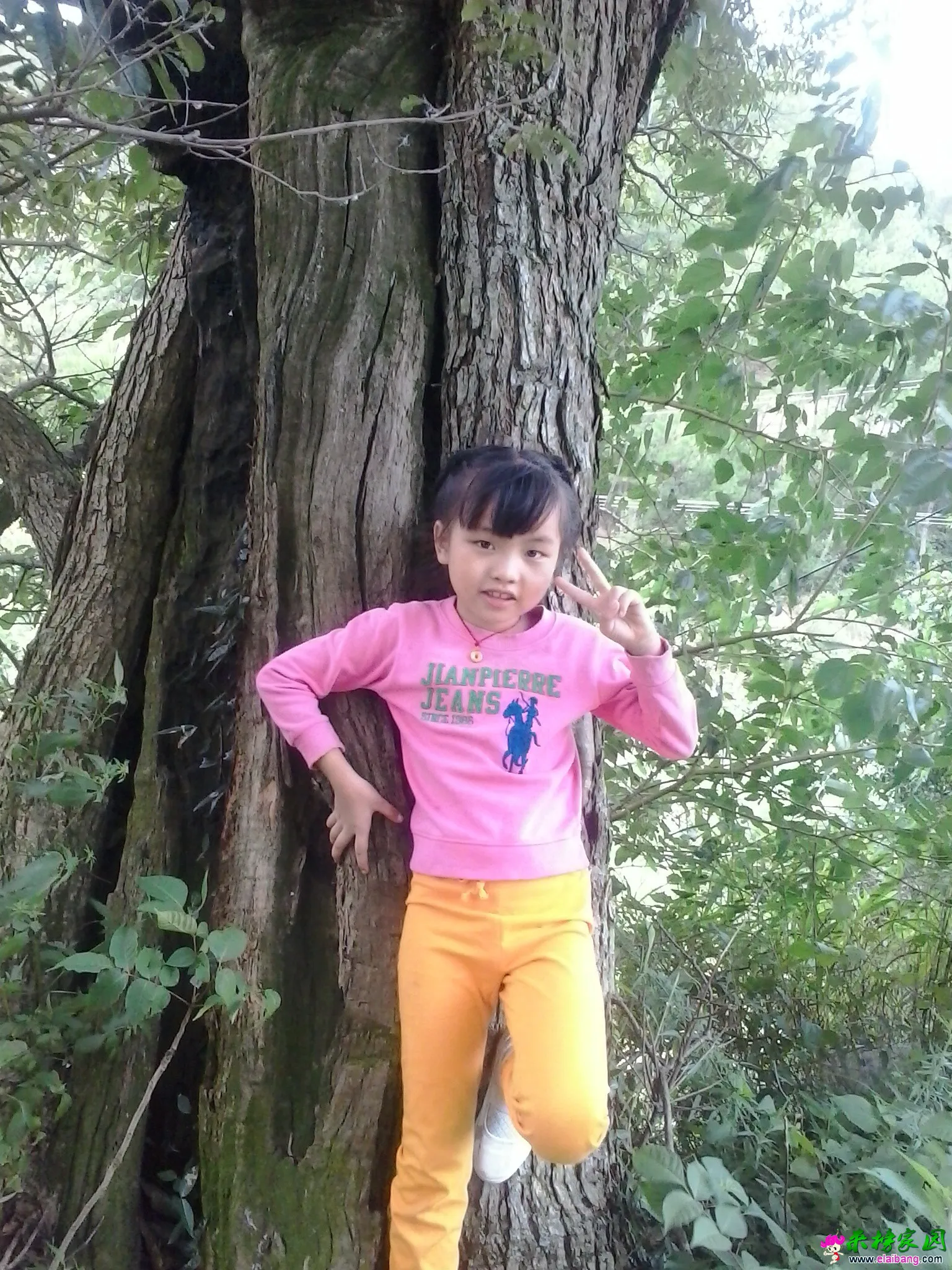 QQ图片20140817163711.webp