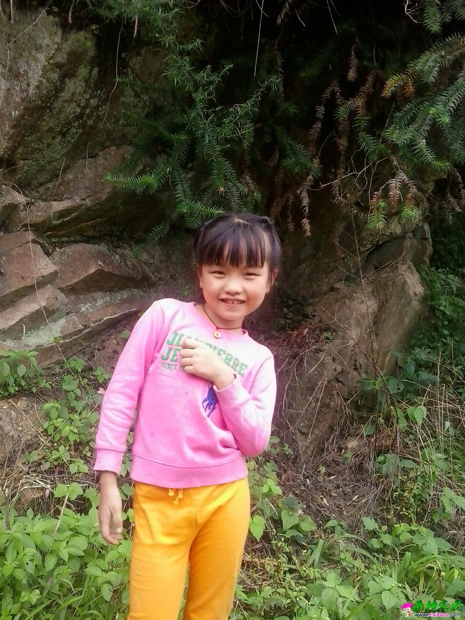 QQ图片20140817163745.webp
