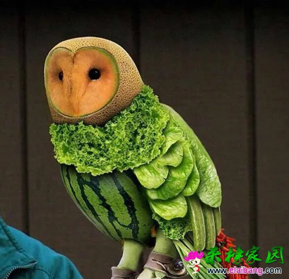 QQ图片2014081720214622.webp