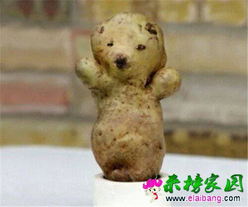 QQ图片2014081720221255.webp