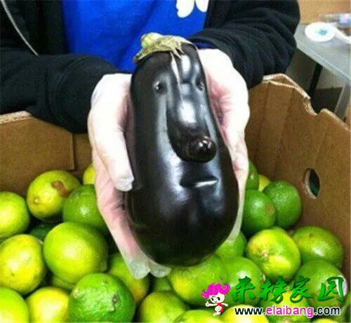 QQ图片2014081720223888.webp