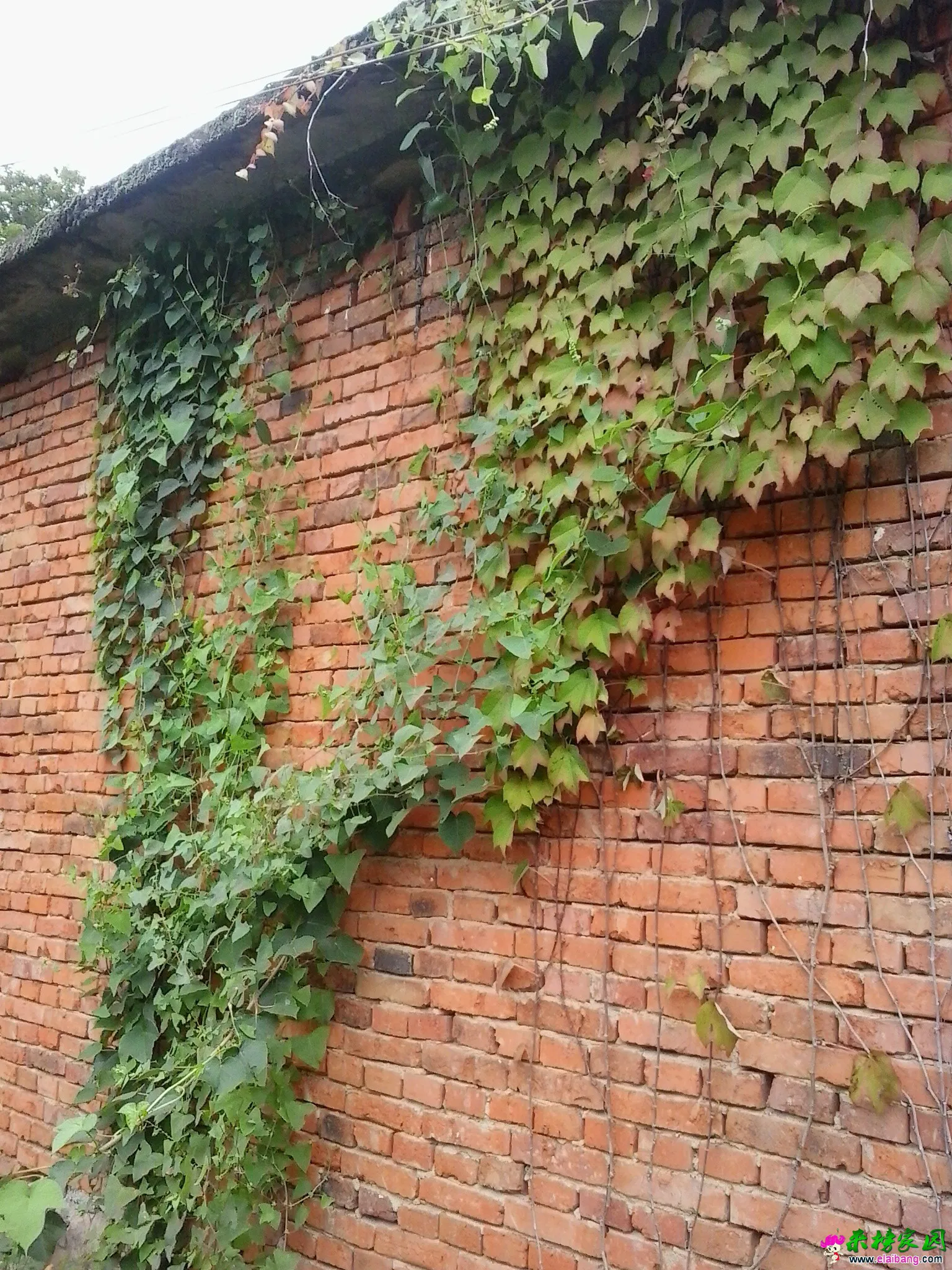 QQ图片20140817163812.webp