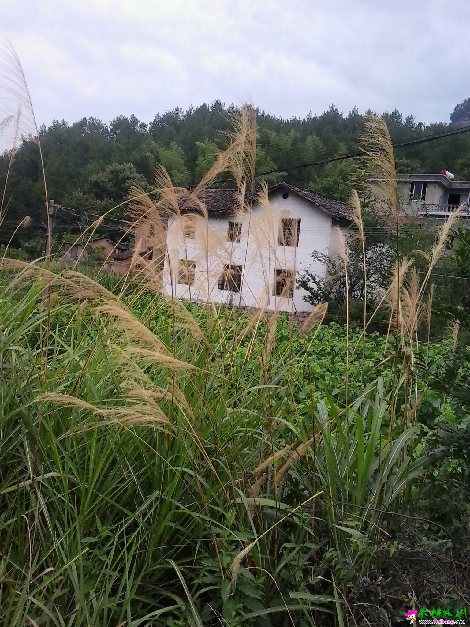 QQ图片20140817163807.webp