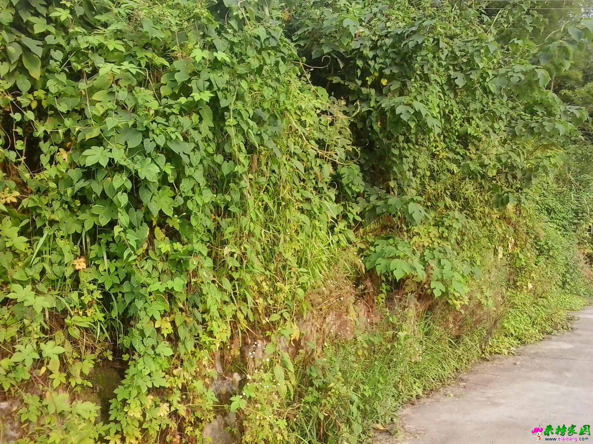 20140820_171520.webp