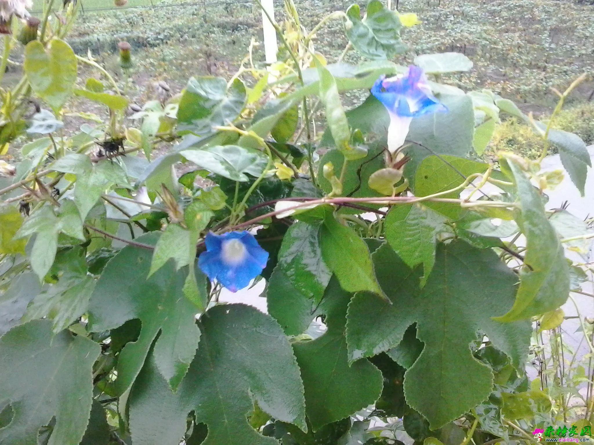 20140827_075907.webp