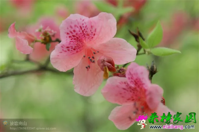 psbEM58OICG.webp