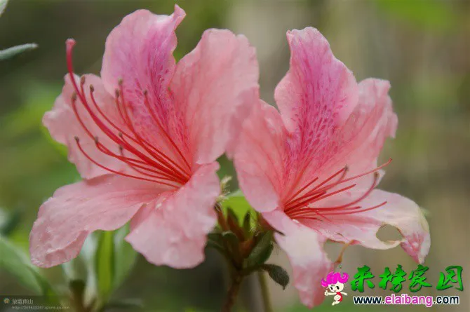 psbIN5OO6MF.webp