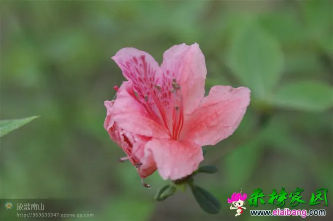 psbPRJACIY4.webp