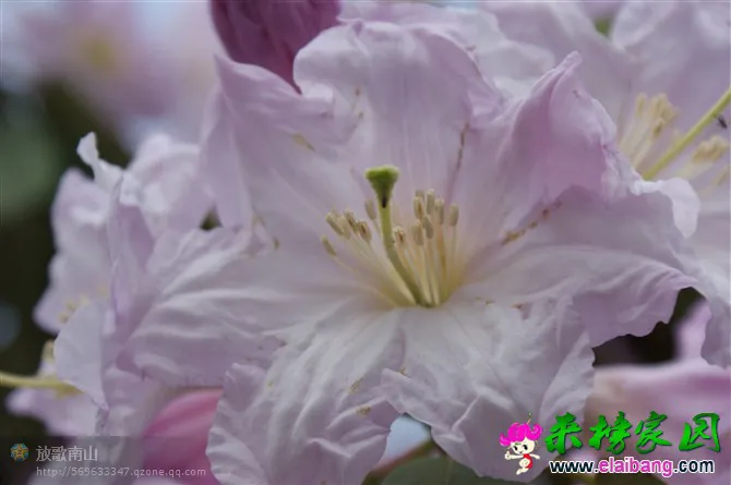 psbUFVW1IYZ.webp