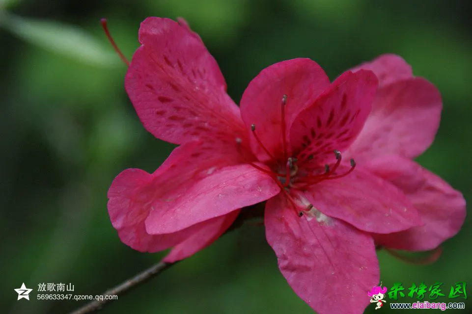 psbZ7GCK19V.webp