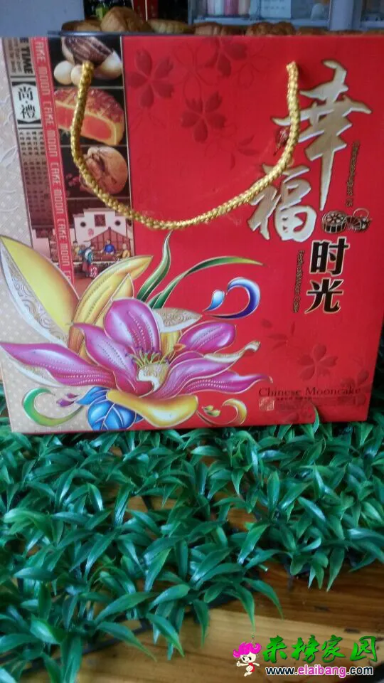 QQ图片2014083010472422.webp