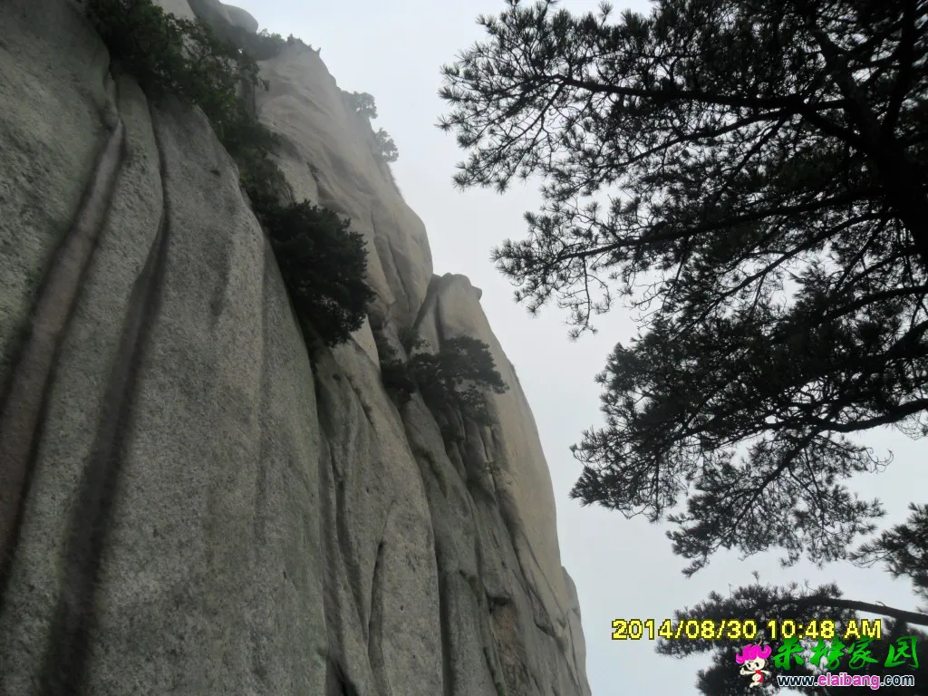 SAM_1411.webp