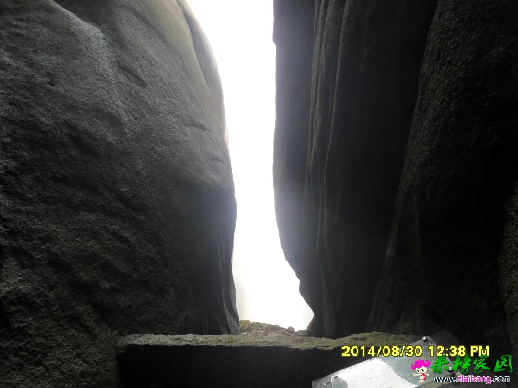 SAM_1478.webp