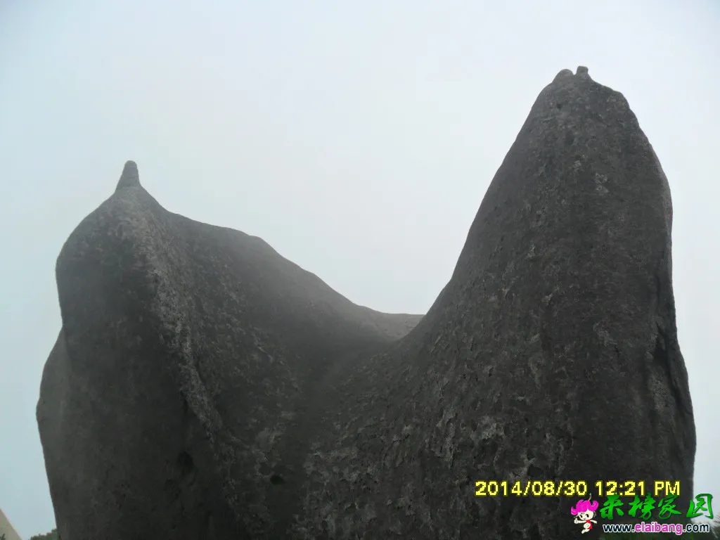 SAM_1469.webp