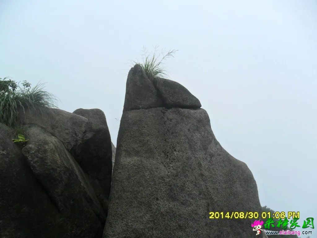 SAM_1509.webp