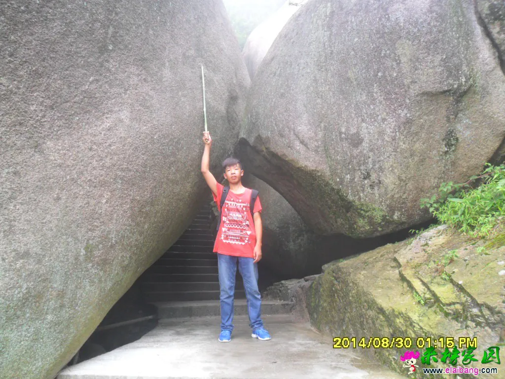 SAM_1516.webp