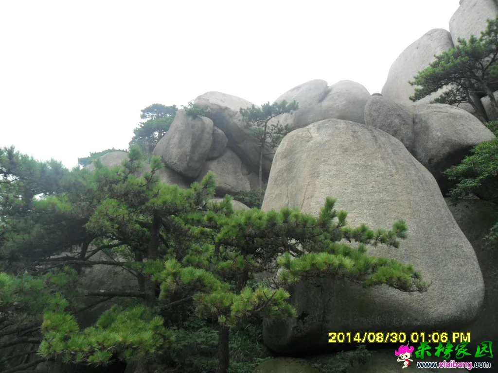 SAM_1508.webp