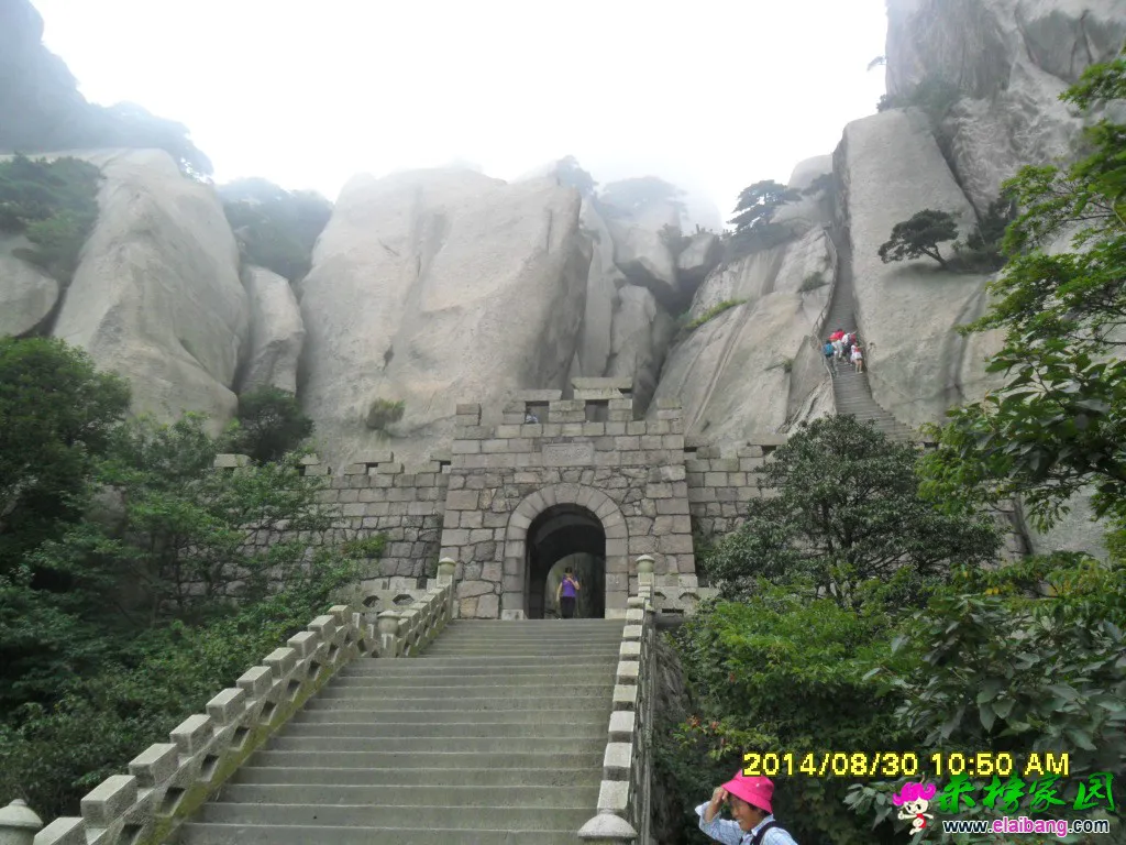 SAM_1415.webp