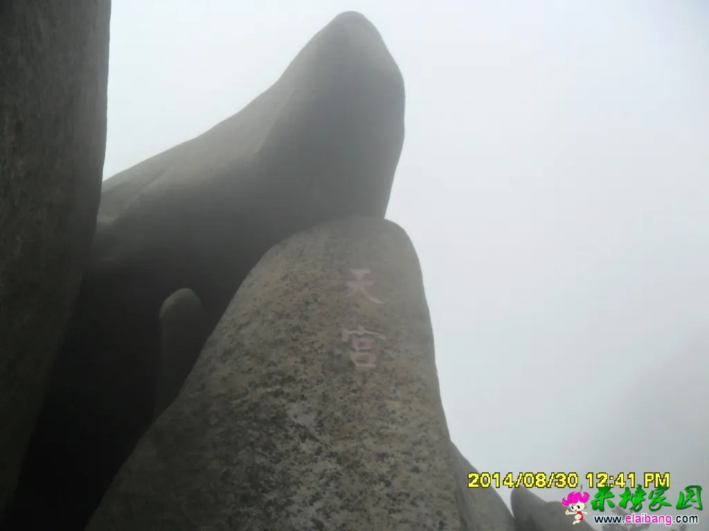 SAM_1487.webp