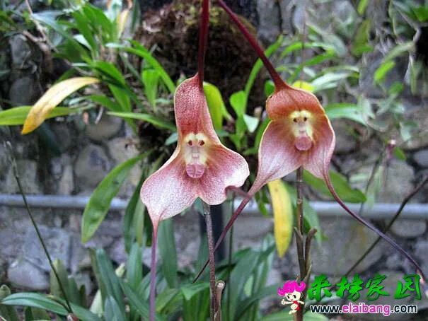 QQ图片20140902131842.webp