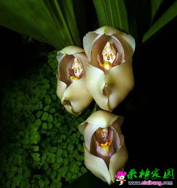 QQ图片20140902131837.webp