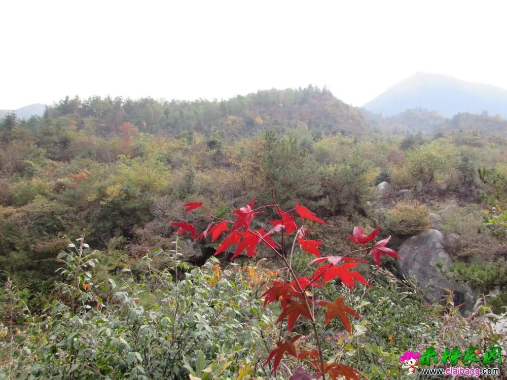IMG_0665.webp