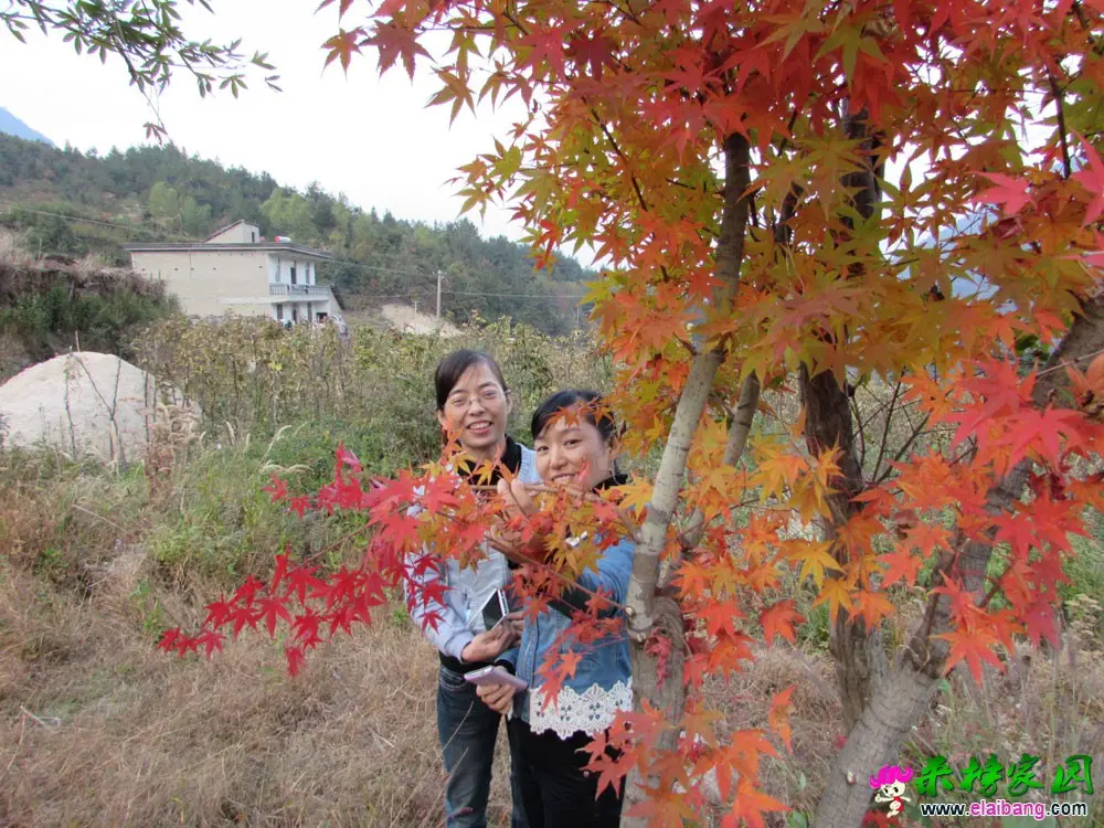 IMG_0691.webp